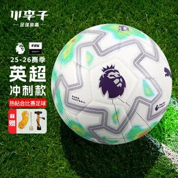 成都蓉城战胜山东泰山夺冠在即 茹萨成制胜英雄